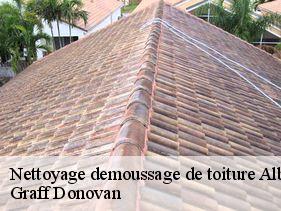 nettoyage-demoussage-de-toiture  albon-07190 Graff Donovan