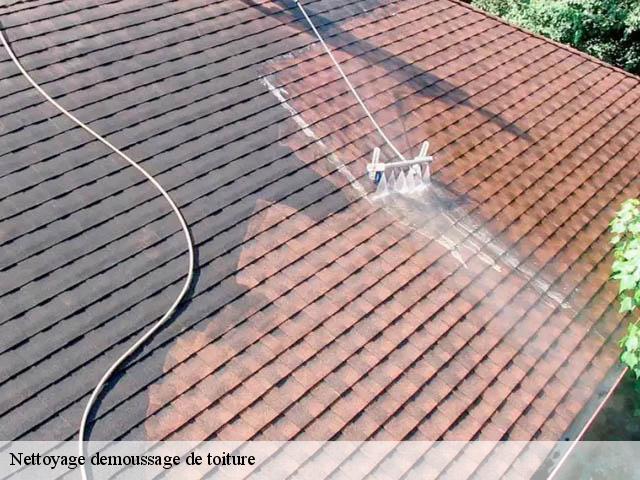 nettoyage-demoussage-de-toiture 07600