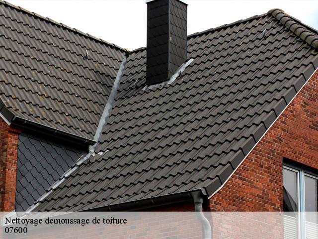 nettoyage-demoussage-de-toiture 07600