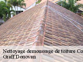 Nettoyage demoussage de toiture  coux-07000 Graff Donovan