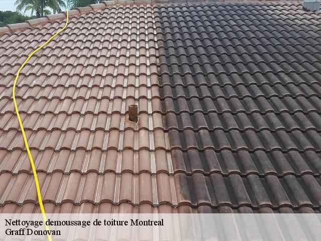 nettoyage-demoussage-de-toiture 07110