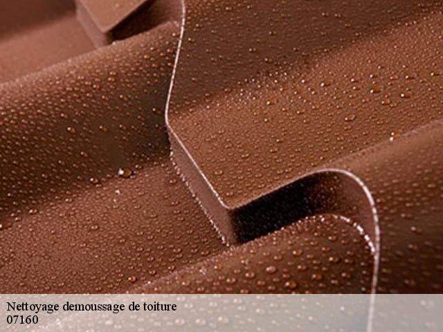 nettoyage-demoussage-de-toiture 07160
