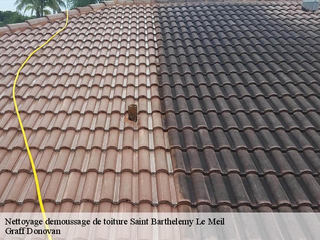 nettoyage-demoussage-de-toiture 07160