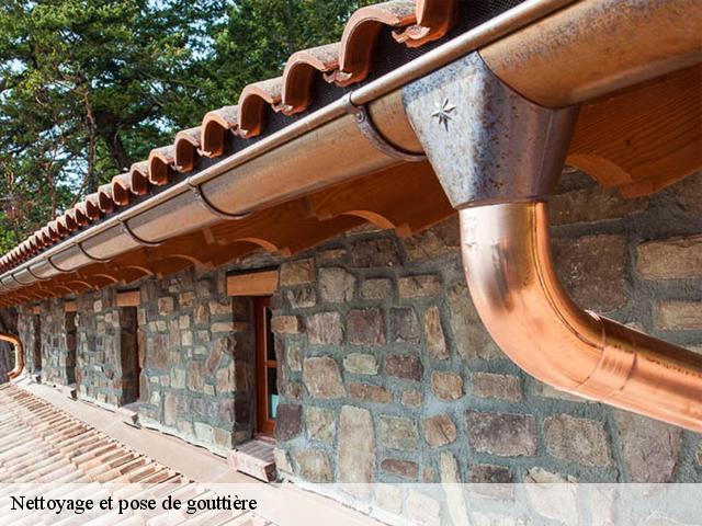 Nettoyage et pose de gouttière 07260
