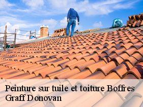 peinture-sur-tuile-et-toiture  boffres-07440 Graff Donovan