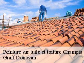 peinture-sur-tuile-et-toiture  champis-07440 Graff Donovan