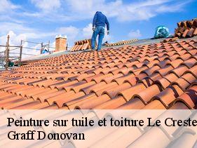 peinture-sur-tuile-et-toiture le-crestet-07270 Graff Donovan