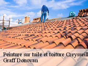 peinture-sur-tuile-et-toiture  creysseilles-07000 Graff Donovan