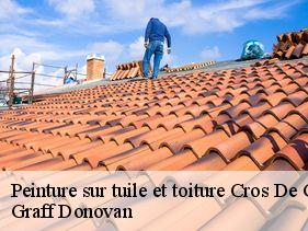 peinture-sur-tuile-et-toiture  cros-de-georand-07510 Graff Donovan