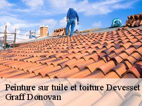 peinture-sur-tuile-et-toiture  devesset-07320 Graff Donovan