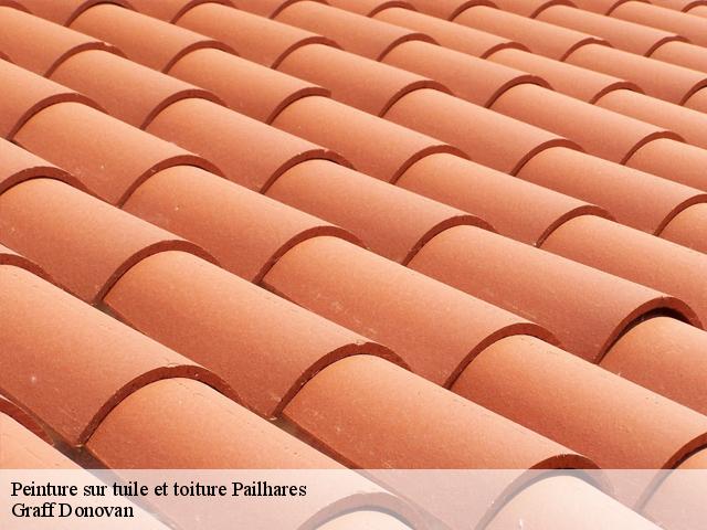 Peinture sur tuile et toiture
