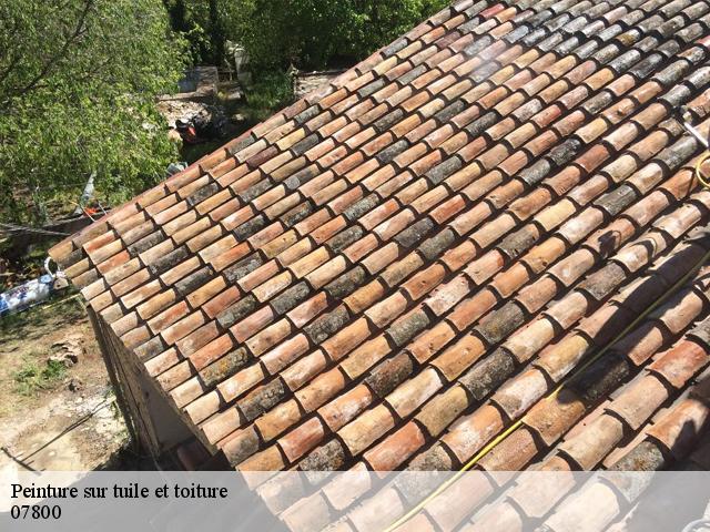 peinture-sur-tuile-et-toiture  07800