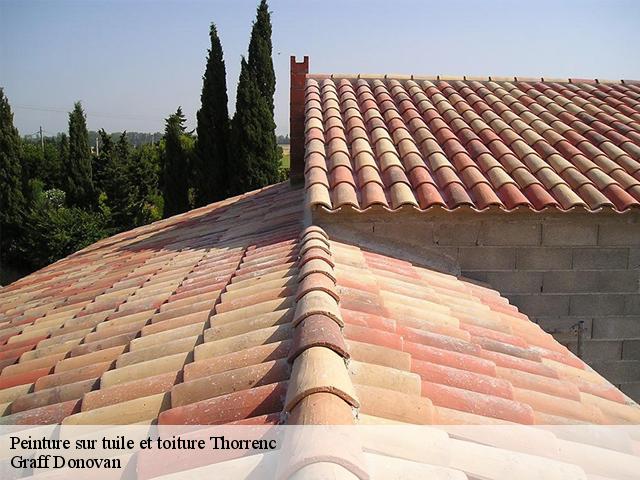 peinture-sur-tuile-et-toiture 07340