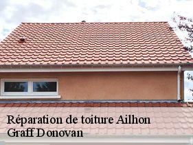 Réparation de toiture  ailhon-07200 Graff Donovan
