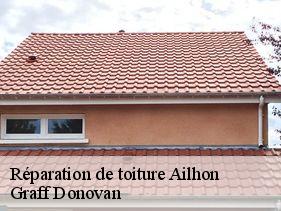 reparation-de-toiture ailhon-07200 Graff Donovan