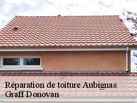 reparation-de-toiture  aubignas-07400 Graff Donovan