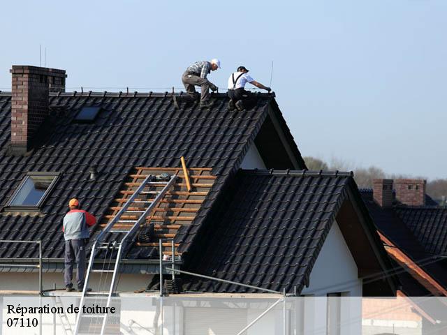 Réparation de toiture  07110