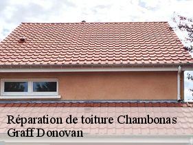 reparation-de-toiture  chambonas-07140 Graff Donovan