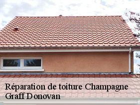 reparation-de-toiture  champagne-07340 Graff Donovan