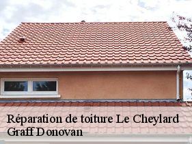reparation-de-toiture  le-cheylard-07160 Graff Donovan