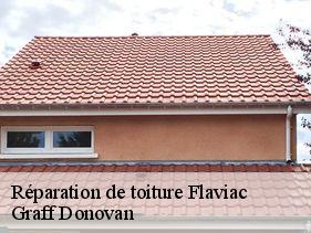 reparation-de-toiture  flaviac-07000 Graff Donovan