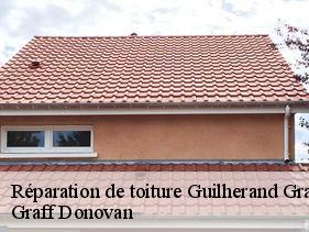 reparation-de-toiture  guilherand-granges-07500 Graff Donovan