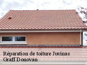 Réparation de toiture  juvinas-07600 Graff Donovan