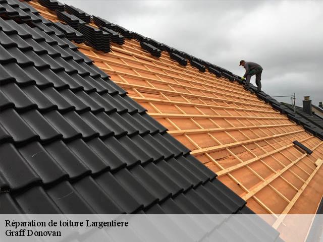 reparation-de-toiture 07110