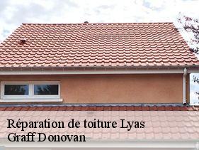 Réparation de toiture  lyas-07000 Graff Donovan