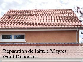 reparation-de-toiture  mayres-07330 Graff Donovan