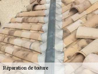 reparation-de-toiture