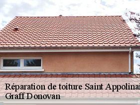 reparation-de-toiture  saint-appolinaire-de-rias-07240 Graff Donovan