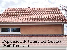 Réparation de toiture les-salelles-07140 Graff Donovan