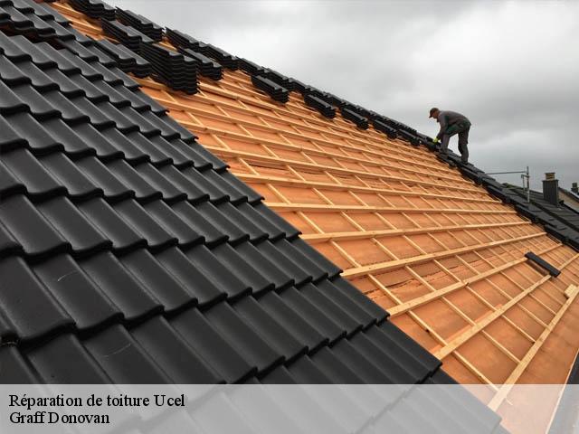reparation-de-toiture 07200