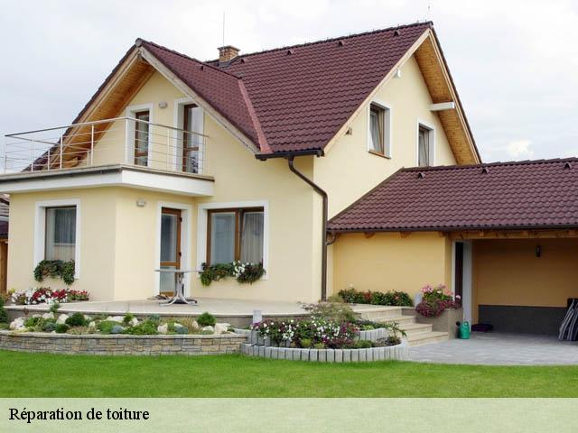 reparation-de-toiture 07200