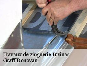 Travaux de zinguerie  juvinas-07600 Graff Donovan