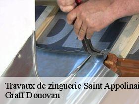 travaux-de-zinguerie  saint-appolinaire-de-rias-07240 Graff Donovan