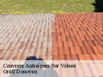 Couvreur 07530