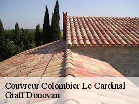 Couvreur  colombier-le-cardinal-07430 Graff Donovan