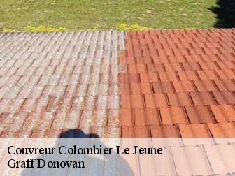 couvreur 07270
