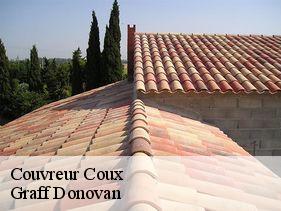 Couvreur  coux-07000 Graff Donovan