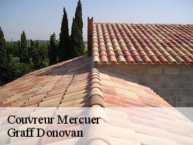 couvreur  mercuer-07200 Graff Donovan