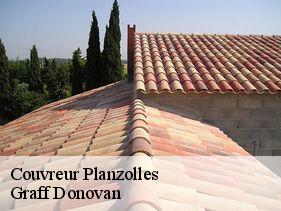 Couvreur  planzolles-07230 Graff Donovan