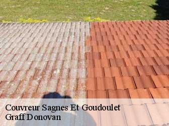 couvreur 07450