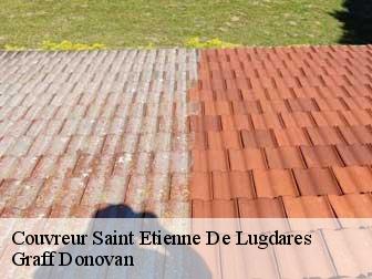 Couvreur 07590
