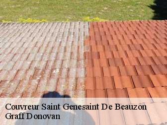 couvreur 07230