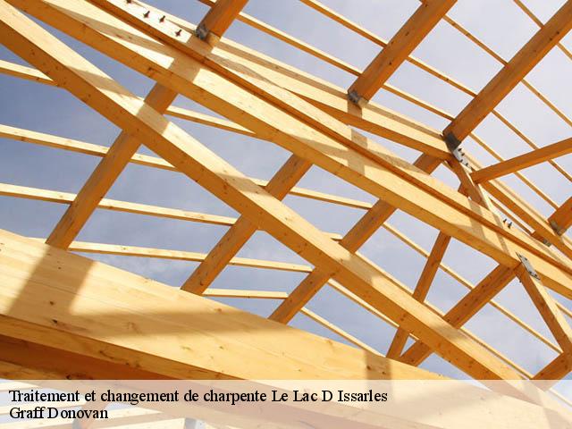 traitement-et-changement-de-charpente