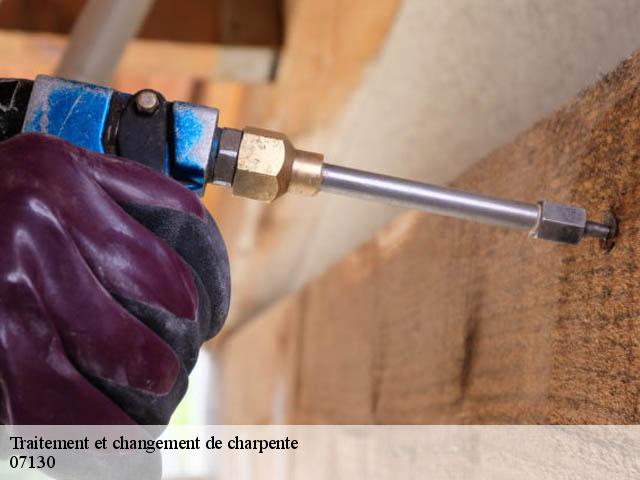 traitement-et-changement-de-charpente 07130