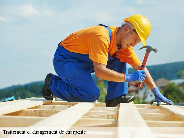 traitement-et-changement-de-charpente 07130
