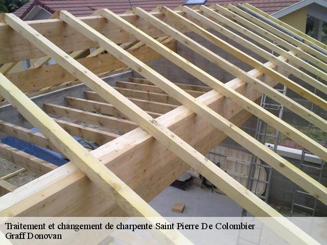 traitement-et-changement-de-charpente 07450
